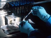 Des scientifiques ont mis au point une bio-encre qui peut être utilisée pour imprimer des matériaux vivants. (Image source : National Cancer Institute sur Unsplash)