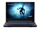 Test du Medion Erazer Deputy P25 : de bonnes performances mais un écran moyen
