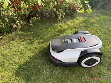 En revanche, si des plantes dépassent du bord de la pelouse, la tondeuse robotisée les évitera soigneusement.