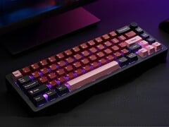Noir avec une touche de rose : Schéma des couleurs du clavier PC tout-en-un. (Source de l&#039;image : Rakeydo via Kickstarter)