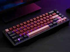 Noir avec une touche de rose : Schéma des couleurs du clavier PC tout-en-un. (Source de l'image : Rakeydo via Kickstarter)