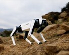 Le dernier chien robot de Dobot devrait coûter un peu plus de 1 000 dollars. (Source de l'image : Dobot)