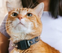Le Mini tracker de Fi permet aux propriétaires de suivre la forme physique et la localisation de leur animal de compagnie. (Source de l&#039;image : Fi)