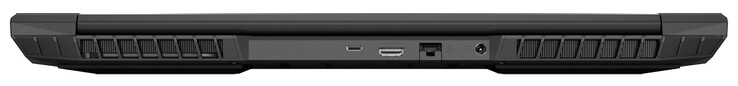 Arrière : USB 3.2 Gen 2 (Type C ; DisplayPort 1.4, compatible G-Sync), HDMI 2.1 (HDCP 2.3), Gigabit Ethernet, alimentation électrique