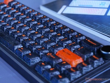 Les touches en fibre de carbone apportent une toute nouvelle touche esthétique
