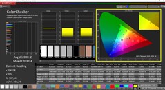 CalMAN - ColorChecker calibré