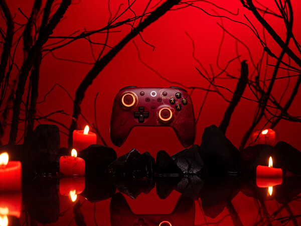 (Source de l'image : 8BitDo)
