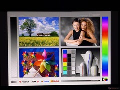 Angles de vision OLED larges