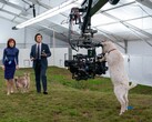 Pour obtenir l'esthétique distincte de l'émission, inspirée des années 70, les corps de caméra ont été associés à des objectifs anamorphiques Panavision série C. (Source de l'image : Apple TV+)