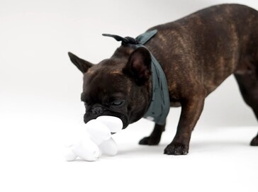 Jouet à mâcher « Dog Mode »