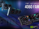 Les cartes RTX 4060 de PNY. (Source : PNY)
