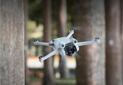 Le Mini 3 Pro pourrait bientôt être rejoint par un drone moins cher également vendu sous la série Mini 3. (Image source : DJI)