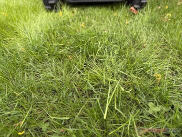 Le Airseekers Tron laisse plus d'herbe coupée dans le test...