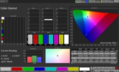 Espace colorimétrique CalMAN – Écran d'extérieur