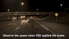 La FSD a freiné pour éviter de percuter le cerf (Source de l&#039;image : HaobamMano/X)