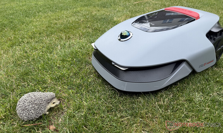 Le Dreame A1 Pro n'a pas toujours reconnu le mannequin hérisson lors du test
