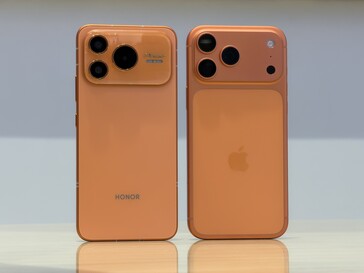 Les similitudes prédominent sur le dos.