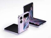 Le Find N2 Flip. (Source : OPPO)