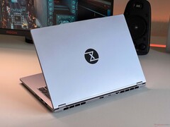 InfinityBook Pro 14 Gen10 Tuxedo (source de l&#039;image : Notebookcheck)