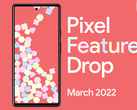 La série Pixel 6 a reçu de nombreuses fonctionnalités ce mois-ci avec le dernier Feature Drop de Google. (Image source : Google)