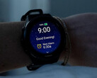 Les Forerunner 570 et Forerunner 970 ont reçu simultanément la même mise à jour bêta, cette dernière étant illustrée. (Source de l'image : Garmin)