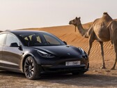 La Tesla Model 3 Long Range à traction intégrale est à nouveau disponible à la commande. (Source de l'image : Tesla)