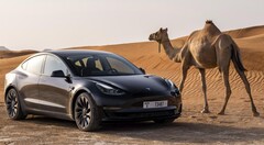 La Tesla Model 3 Long Range à traction intégrale est à nouveau disponible à la commande. (Source de l'image : Tesla)
