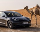 La Tesla Model 3 Long Range à traction intégrale est à nouveau disponible à la commande. (Source de l'image : Tesla)