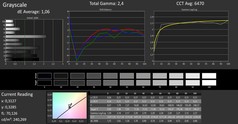 MSI P65 8RF Creator - CalMAN : Échelle de gris (après calibrage).