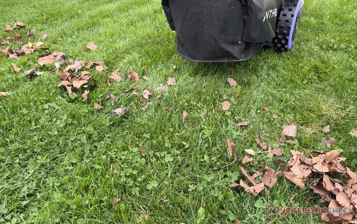 L’Anthbot N8 a bien ramassé les feuilles lors du test — en partie grâce à son motif en damier.
