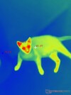 Thermique bio