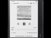 Le Kobo Elipsa 2E se vend à près de 400 dollars (source : Rakuten Kobo)