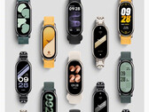 Le Smart Band 8 a conservé l'écran AMOLED de 1,6 pouce et 60 Hz de son prédécesseur. (Source de l'image : Xiaomi)
