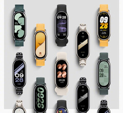 Le Smart Band 8 a conservé l'écran AMOLED de 1,6 pouce et 60 Hz de son prédécesseur. (Source de l'image : Xiaomi)