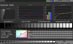 CalMAN Niveaux de gris