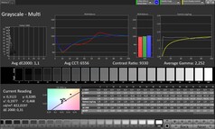 Niveaux de gris (mode de couleur : professionnel, espace de couleur cible : sRGB)