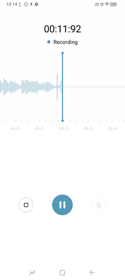 L'enregistreur audio de base. (Source de l'image : Sergey Tarasov - Notebookcheck)