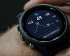 La beta 15.09 de Garmin ya está disponible para el reloj inteligente Forerunner 255 Music. (Fuente de la imagen: Garmin)