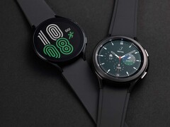 Les modèles Galaxy Watch4 et Galaxy Watch4 Classic sont toujours les seules smartwatches fonctionnant sous Wear OS 3. (Image source : Samsung)