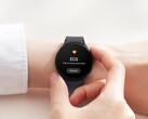 Samsung a annoncé une nouvelle fonctionnalité pour One UI 5 Watch. (Source de l'image : Samsung)