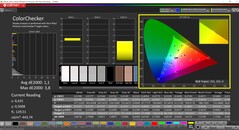 CalMAN ColorChecker (profil : sRGB, espace couleur cible : sRGB)