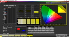 Saturation CalMAN (espace couleur cible P3)