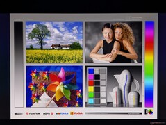 Angles de vision OLED larges