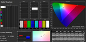 OnePlus 6 - CalMAN : espace colorimétrique - sRGB.
