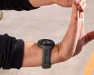 La mise à jour de la version beta 17.03 de Garmin est désormais disponible pour l'Instinct 2 (photo). (Source de l'image : Garmin)