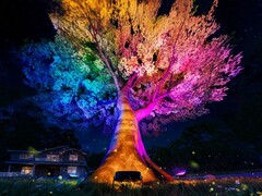 Les guirlandes lumineuses extérieures de Govee (photo) seront lancées en septembre 2025. (Source de l&#039;image : Govee)