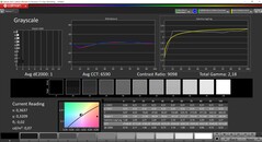 CalMAN Niveaux de gris calibrés (espace couleur cible P3)