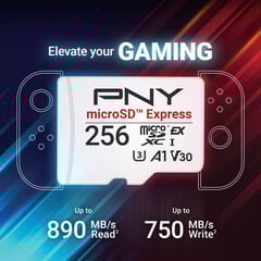 Cartes flash PNY microSD Express (Source : PNY PR)