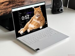 Cat Gatekeeper est conçu pour empêcher l'utilisation excessive des médias sociaux.