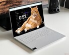 Cat Gatekeeper est conçu pour empêcher l'utilisation excessive des médias sociaux.